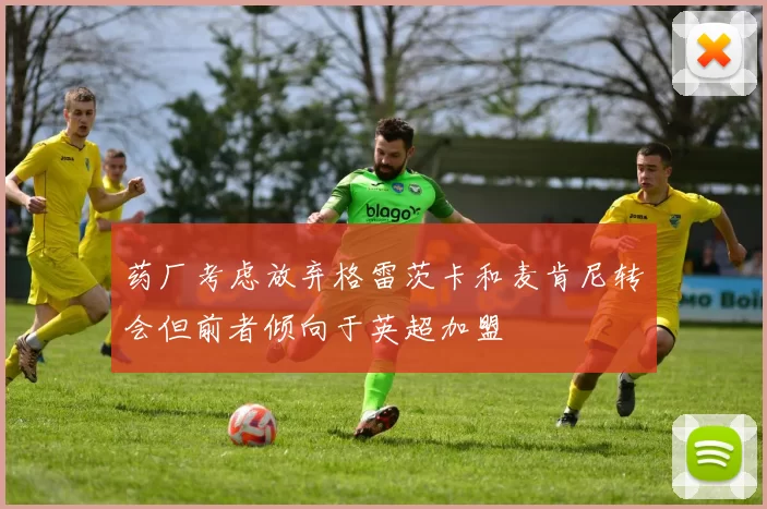 药厂考虑放弃格雷茨卡和麦肯尼转会但前者倾向于英超加盟